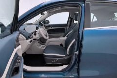 2024 Ora Good Cat 2024 401km Luxury #13