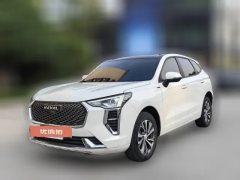 2022 Haval Chulian 2021 1.5T AT Large1Edition #1