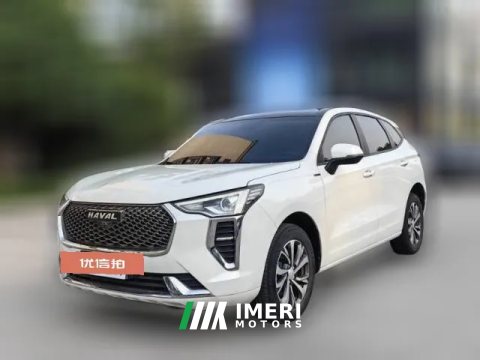 2022 Haval Chulian 2021 1.5T AT Large1Edition