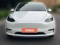 2021 Tesla Model Y 2021Long Rangeall wheel driveEdition 3D7 #2