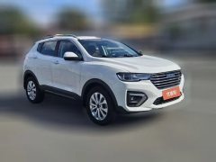 2019 Haval H2s 2018 1.5T AT Blue LabelElite #2
