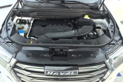 2022 Haval H6 2021 1.5T AT China tideChampion #10