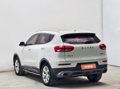 2019 Haval H6 2019 1.5T AT GDITChampion #6