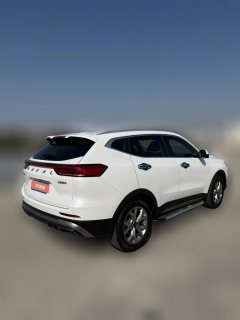 2021 Haval H6 2021 1.5T AT China tideChampion #2