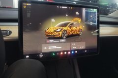 2023 Tesla Model 3 2022 rear wheel driveEdition #14