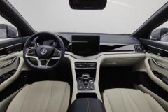 2022 BYD Song Plus PHEV 2021 1.5L AT DM-i 110KM FlagshipPLUS #14
