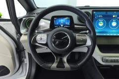 2022 BYD Dolphin 2021 405km Fashion #15