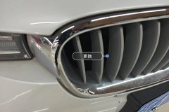 Intake Grille