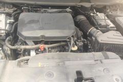 2024 Haval Big Dog Plus 2023 2.0T AT 4WDShionoPlus #10