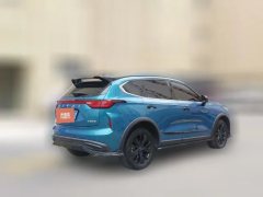 2021 Haval Chitu 2021 1.5T AT ProvokingEdition Platinumrabbit #5