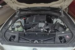 2015 BMW 5 Series 2014 2.0T AT 525LiLeading #10