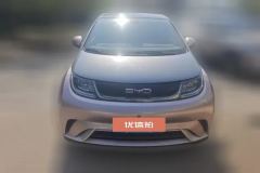 2022 BYD Dolphin 2021 405km Fashion #2
