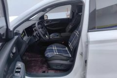 2022 Roewe RX5 PHEV 2021 1.5T AT ePLUS China Chao RonglinFlagship #9