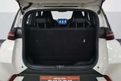 2024 BYD Seagull 2025 305km freeEdition #20