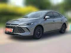 2025 BYD Qin Plus 2025 DM-i Smart Drive 55KMLeading #1