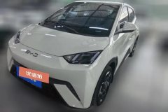 2024 BYD Seagull 2024 Glory 305KM freeEdition #1