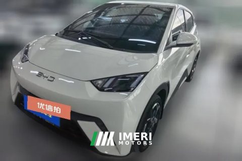 2024 BYD Seagull 2024 Glory 305KM freeEdition