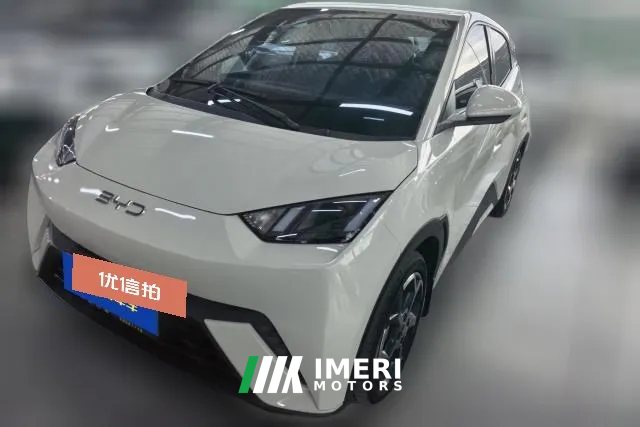 2024 BYD Seagull 2024 Glory 305KM freeEdition