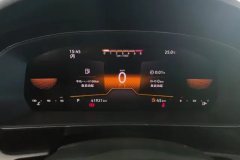 2025 Volkswagen Passat 2024 1.4T AT 280TSI Business #14