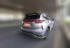 2022 Haval Chitu 2021 1.5T AT ProvokingEdition golden rabbit #4