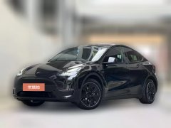 2021 Tesla Model Y 2021Long Rangeall wheel driveEdition 3D7 #1