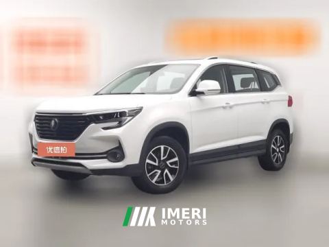 2023 Dongfeng Fengxing Fengxing T5 2021 1.5T AT Comfort