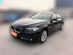 2015 BMW 5 Series 2014 2.0T AT 525LiLeading #1