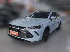 2025 BYD Qin Plus 2025 DM-i Smart Drive 55KMLeading #1