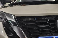 Intake Grille