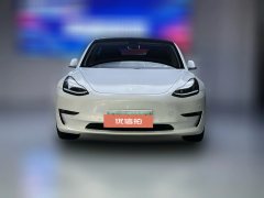 2020 Tesla Model 3 2020 Long Rangerear wheel driveEdition EV #2