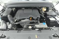 2022 Tank 300 2021 Off-road 2.0T AT challenger #10