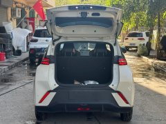 2024 BYD Seagull 2024 Glory 305KM freeEdition #10