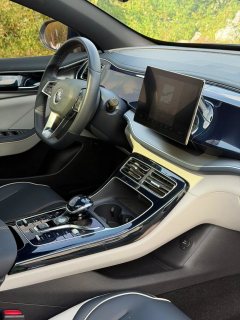 2022 BYD Qin Plus 2021 1.5 AT DM-i 120KM Premium #6