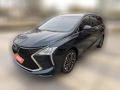 2022 Dongfeng Fengxing Fengxing Youting 2022 5T AT DCTHold the moonEdition #1