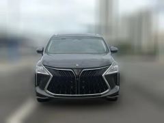 2023 Dongfeng Fengxing Fengxing Youting 2022 1.5T AT DCTChase the wavesEdition #3