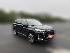 2023 Exeed Lanyue 2023 2.0T AT 400T 4WDStar Premium 6Seat #3