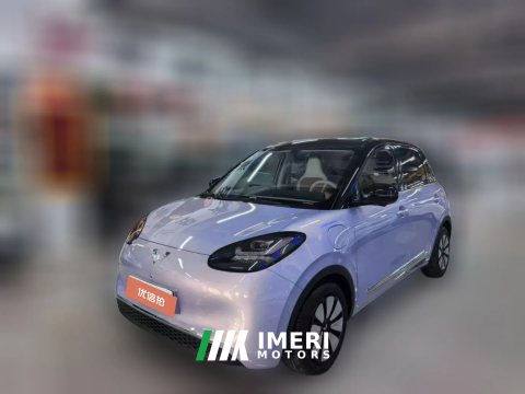 2025 Wuling Motors Wuling Bingo 2025 333km LingxiExclusive
