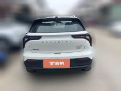 2022 Geometry E Firefly 2022 401KM Exquisite Tiger 4Seat #2