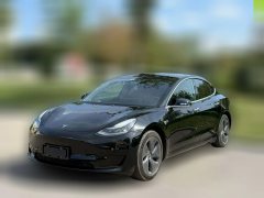 2020 Tesla Model 3 2020 StandardBattery lifeRWDUpgradeEdition #1