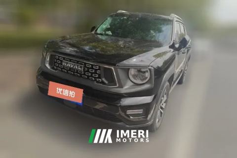 2023 Haval Big Dog Plus 2023 2.0T AT 4WDShionoPlus