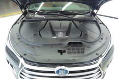 2024 BYD Tang PHEV 2023 1.5T AT DM-i Champion 112KM Honor #10