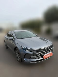2025 BYD Destroyer 05 2024 DM-i 55KM PilotGlory #2