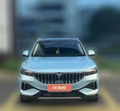 2022 Voyah Free 2021 4WDStandardEREVExclusiveLuxury Pkg #2