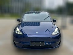 2021 Tesla Model Y 2021Long Rangeall wheel driveEdition 3D7 #2