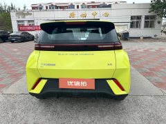 2024 BYD Seagull 2024 Glory 305km vitalityEdition #5