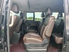 2022 Dongfeng Fengxing Lingzhi Plus 2022 travelEdition 2.0L MT Luxury 9Seat #9