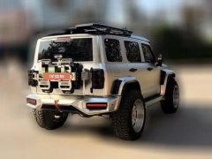 2024 Tank 300 PHEV 2024 2.0T AT Hi4-T #7