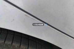 Прав. Задн. крыло