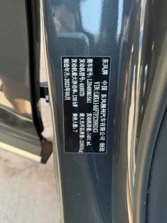 2023 Dongfeng Fengxing Fengxing Youting 2022 1.5T AT DCTChase the wavesEdition #11