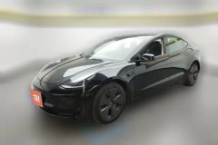 2022 Tesla Model 3 2022 rear wheel driveEdition #1